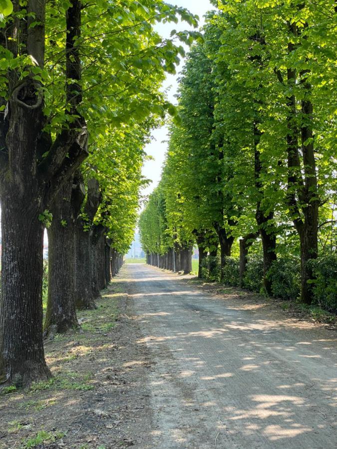 Tenuta Pizzone Wine Resort Риванаццано Экстерьер фото